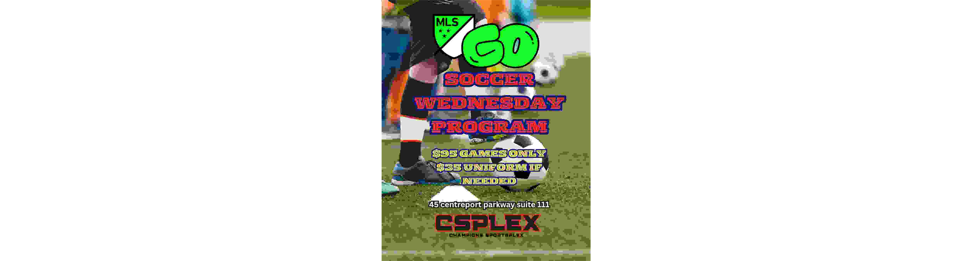 MLS GO